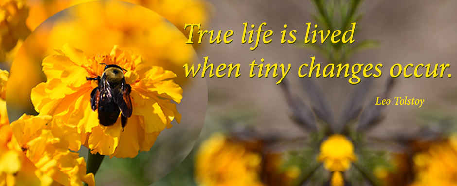 True life is lived when tiny changes occure. - Leo Tolstoy
