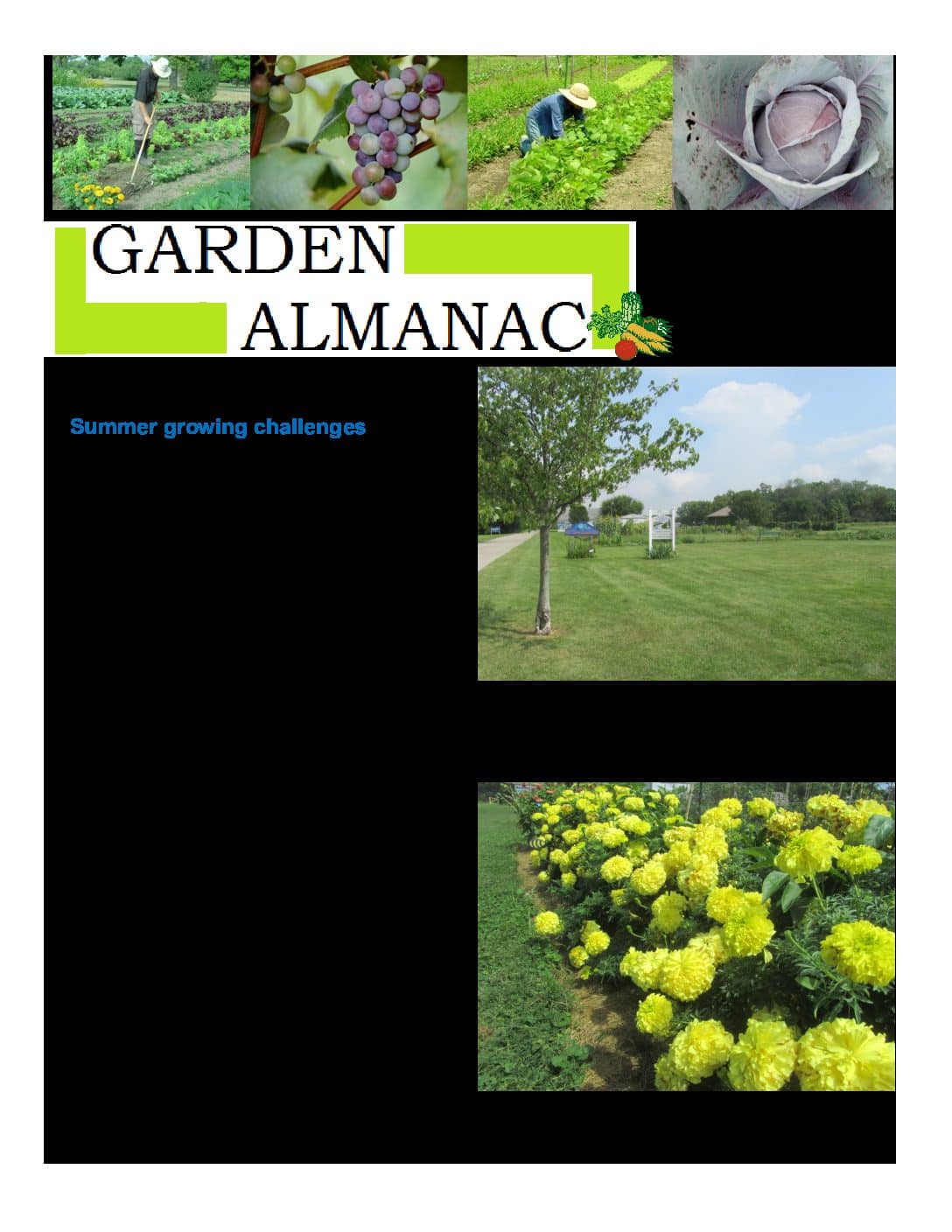2021 AugustSeptember Garden Almanac Feature Image
