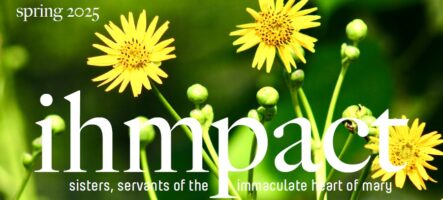 ihmpact Feature Image